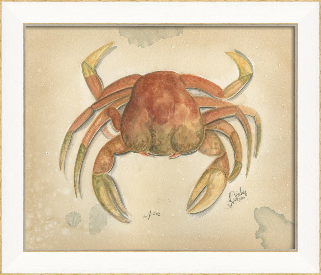 Spicher & Company SS Ocean Crab 3 22599