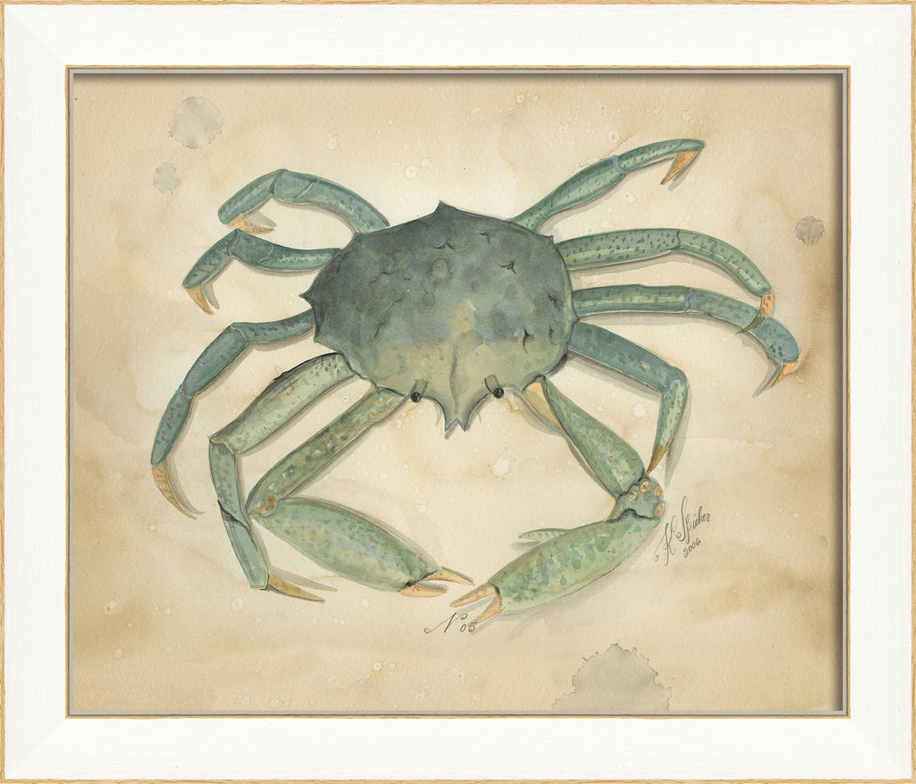 Spicher & Company SS Ocean Crab 5 22601
