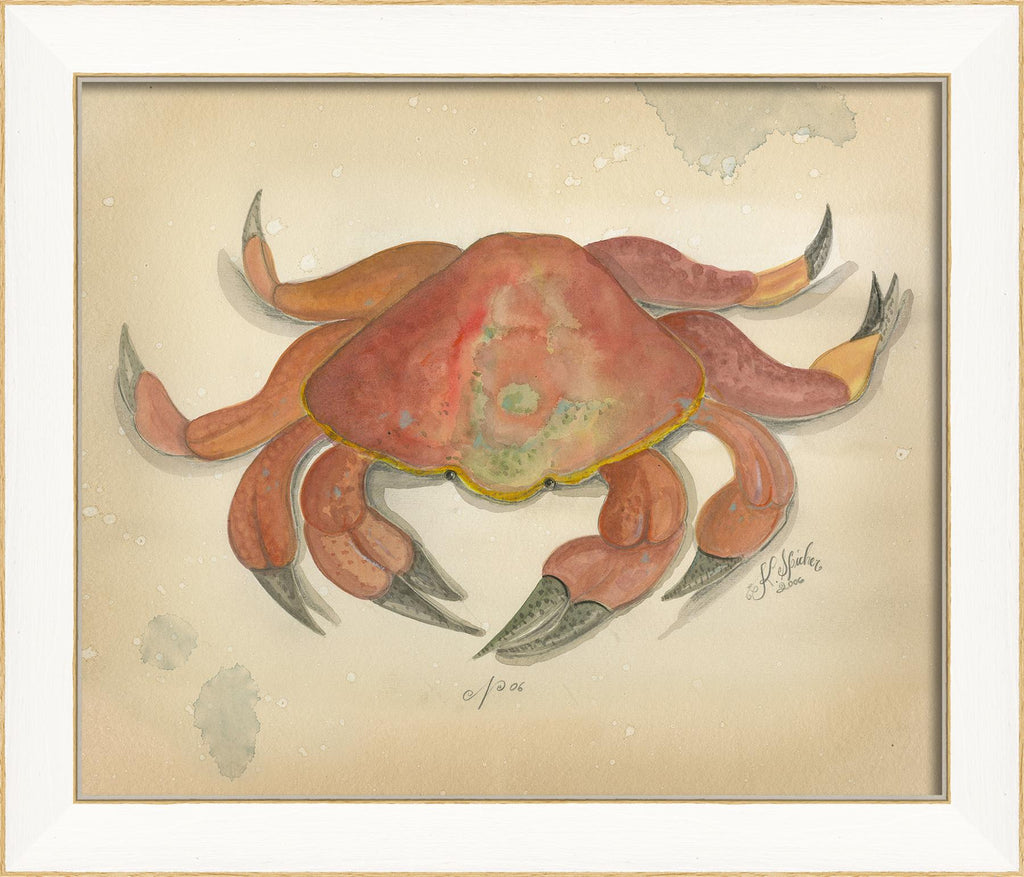 Spicher & Company SS Ocean Crab 6 22602