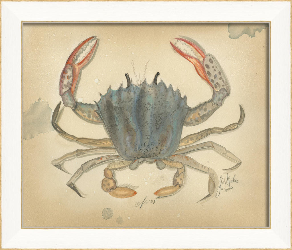 Spicher & Company SS Ocean Crab 8 22604