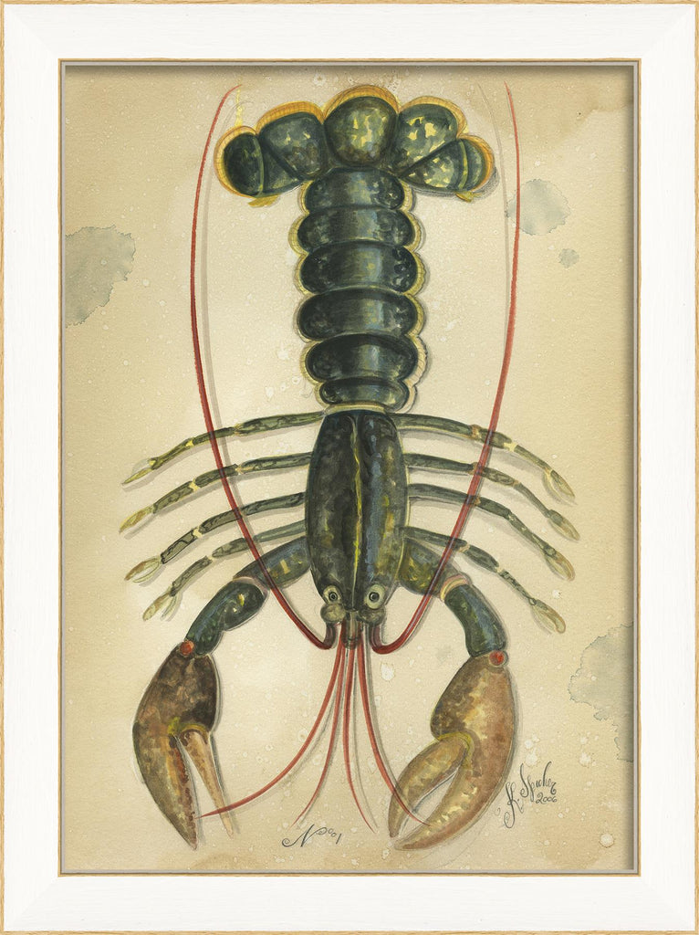 Spicher & Company SS Ocean Lobster 1 22605