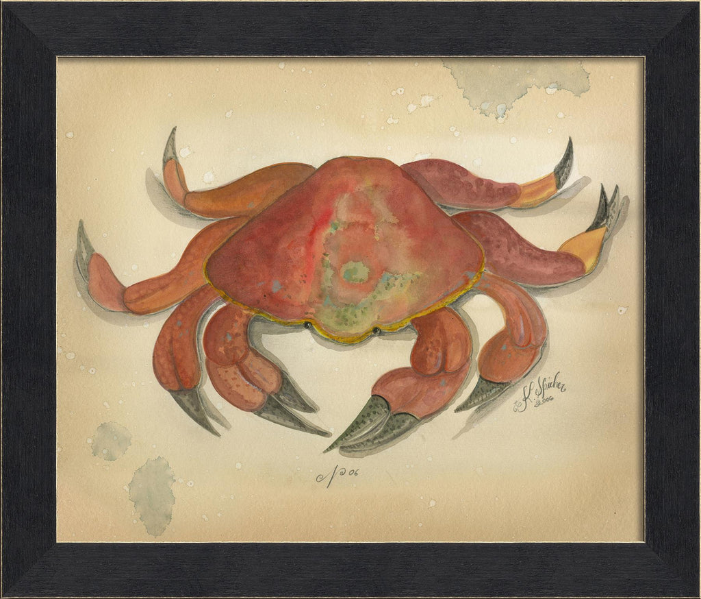 Spicher & Company MI Ocean Crab 6 22697