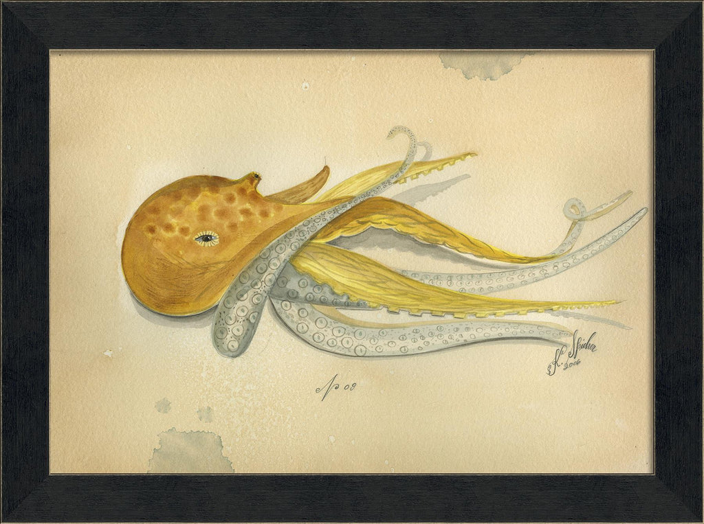 Spicher & Company MI Ocean Octopus 9 22712