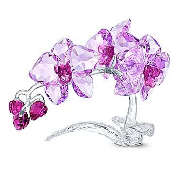 Swarovski Crystal Crystal Flowers Orchid 5520373