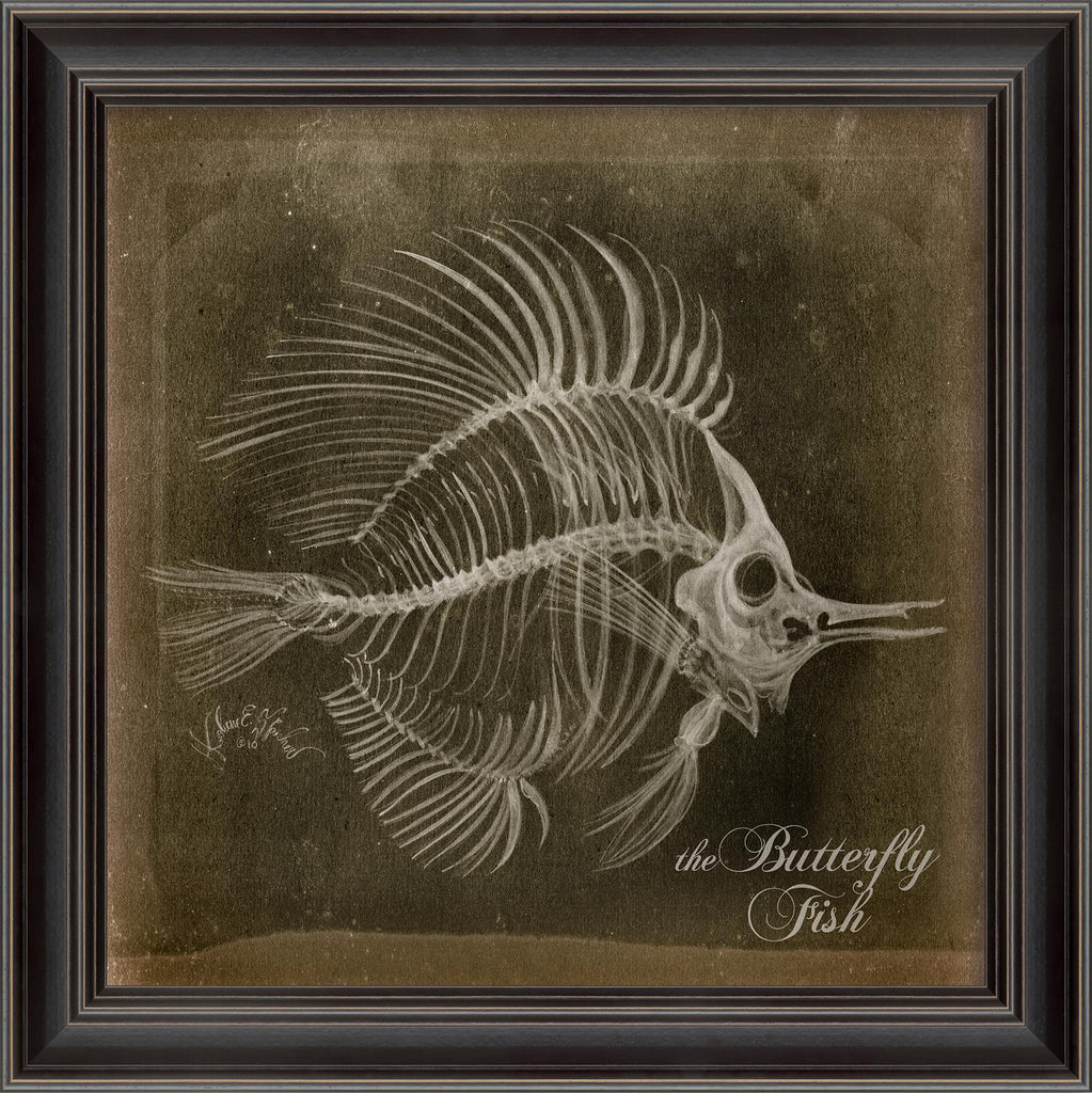 Spicher & Company LS Butterfly Fish Skeleton on Black 80013