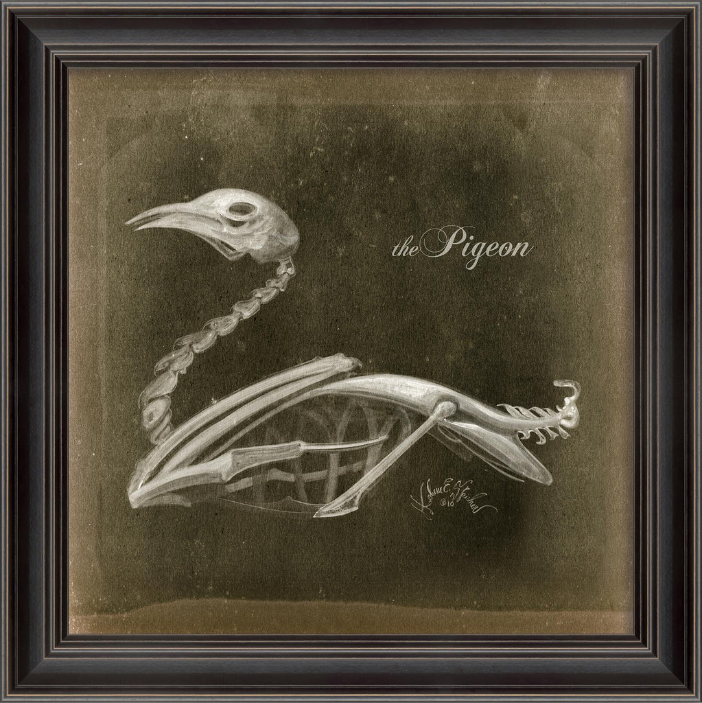 Spicher & Company LS Pigeon Skeleton on Black 80015