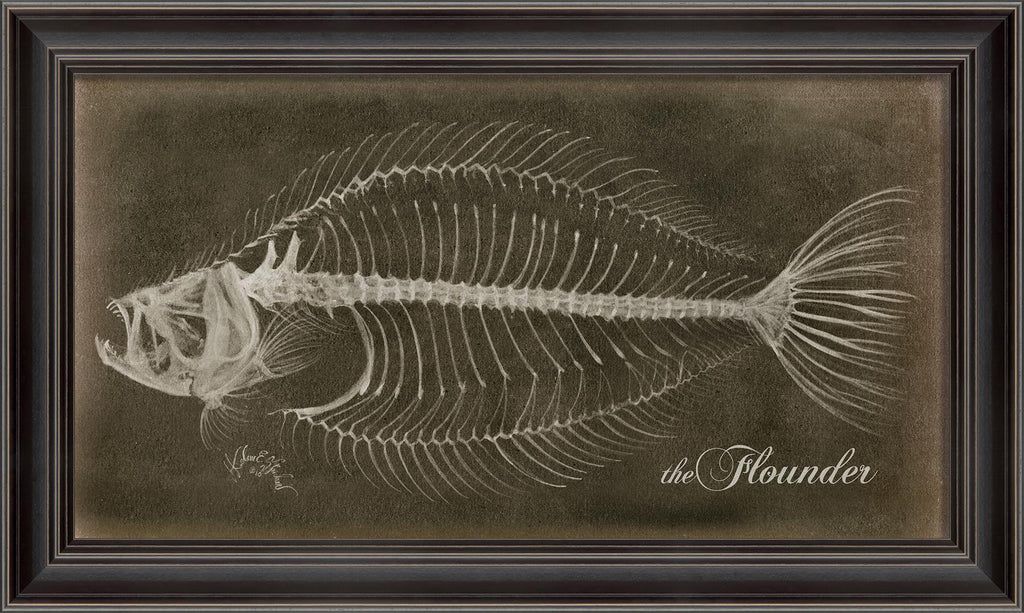 Spicher & Company LS Flounder Skeleton on Black 80020