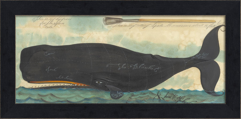 Spicher & Company MI Diagram for the Sperm Whale Cuts 94196