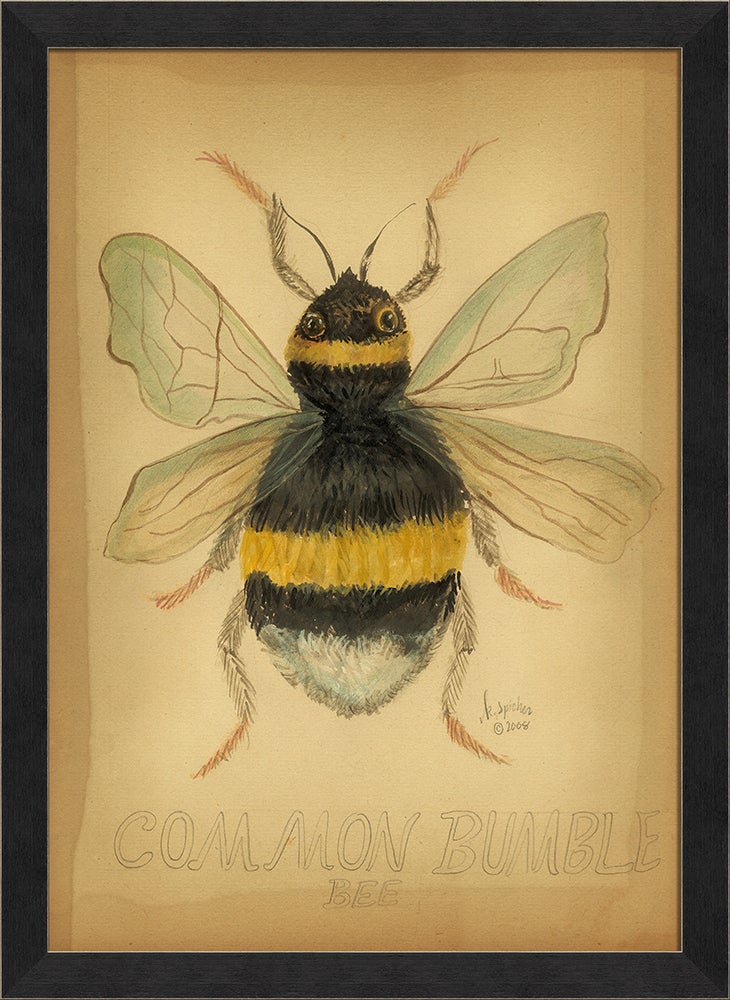 Spicher & Company MI Common Bumble Bee 98130