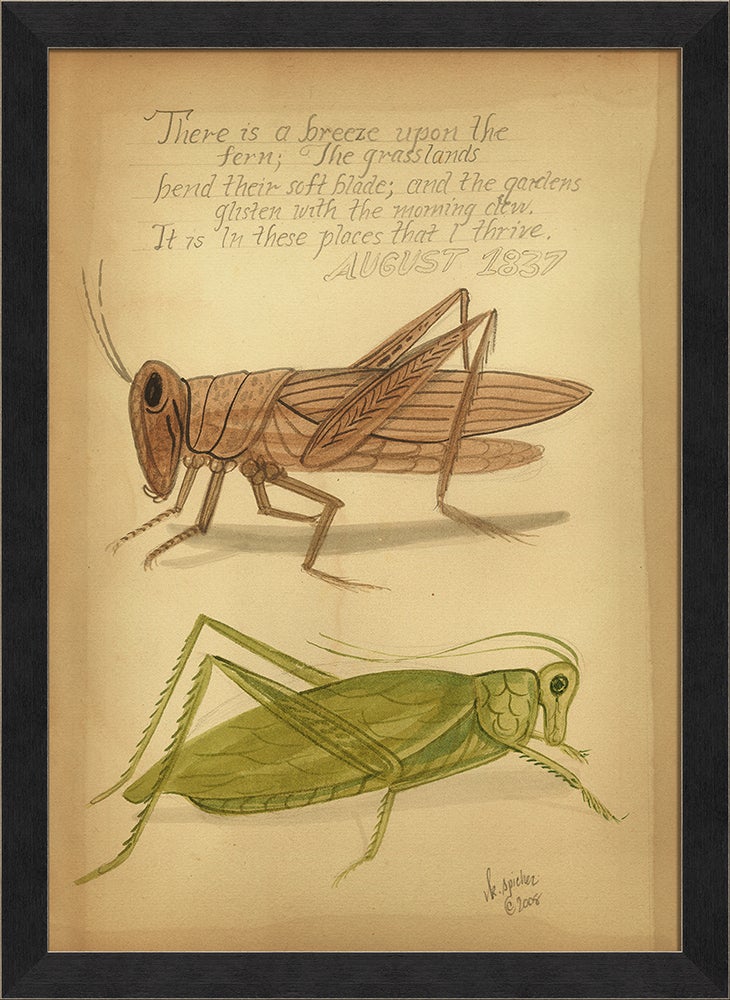 Spicher & Company MI Grasshoppers 1837 98132