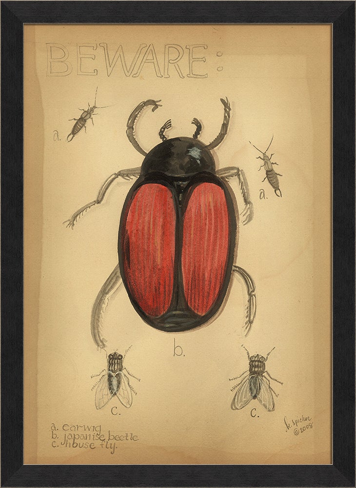 Spicher & Company MI Japanese Beetle 98133