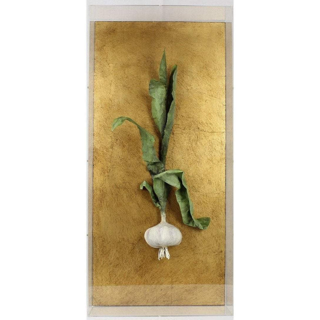 Tommy Mitchell  Vegetable Studies on Gilded Back Garlic 000GAR