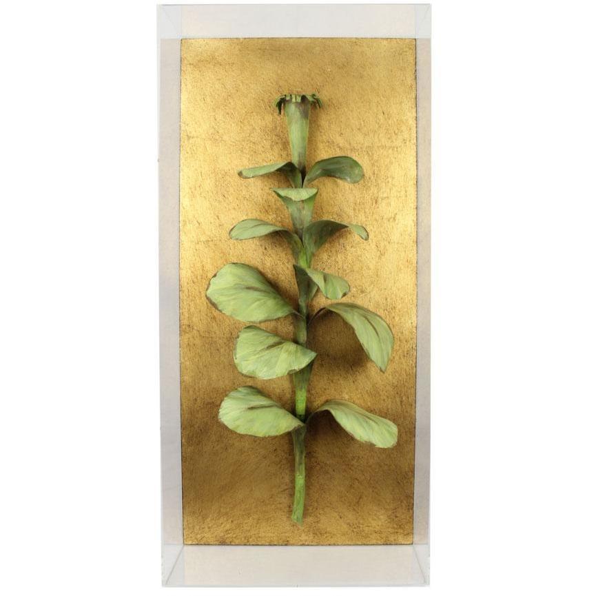 Tommy Mitchell  Vegetable Studies on Gilded Back Tobacco 000TOB