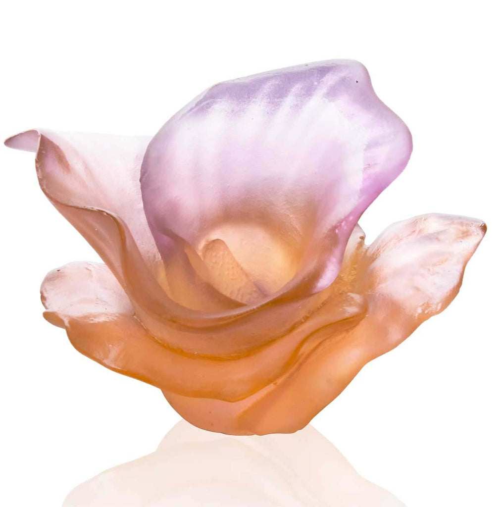 Daum Crystal Arum Rose Flower Pink 05651-1