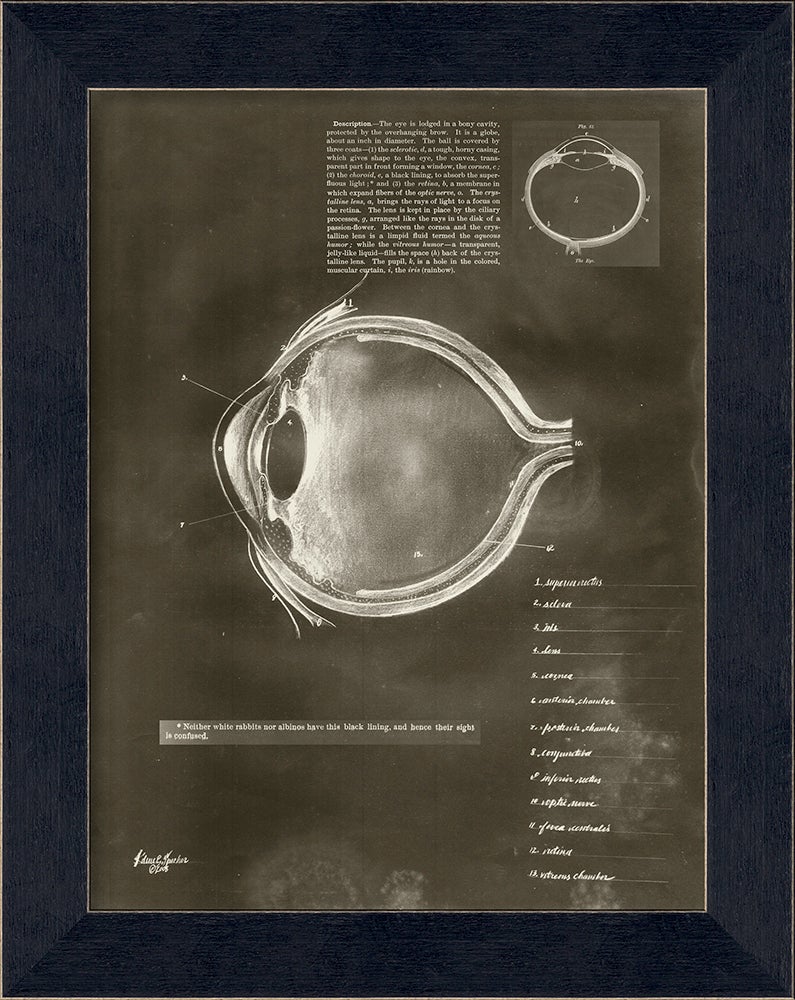 Spicher & Company MI Description of the Eye on black 11242