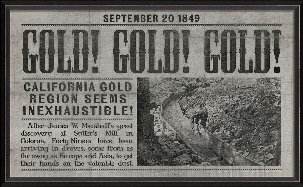 Spicher & Company BC California Gold Rush gray 11641