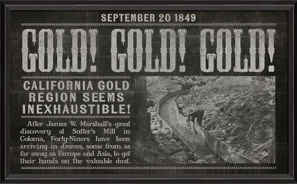 Spicher & Company BC California Gold Rush black 11677