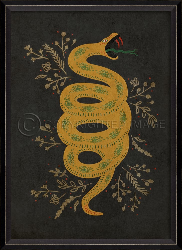 Spicher & Company BC Powers of the Earth Snake on black 11967