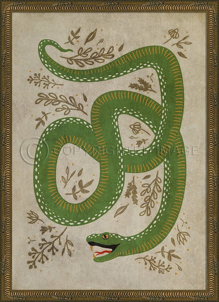 Spicher & Company KG The Prosperous Snake on white 11983