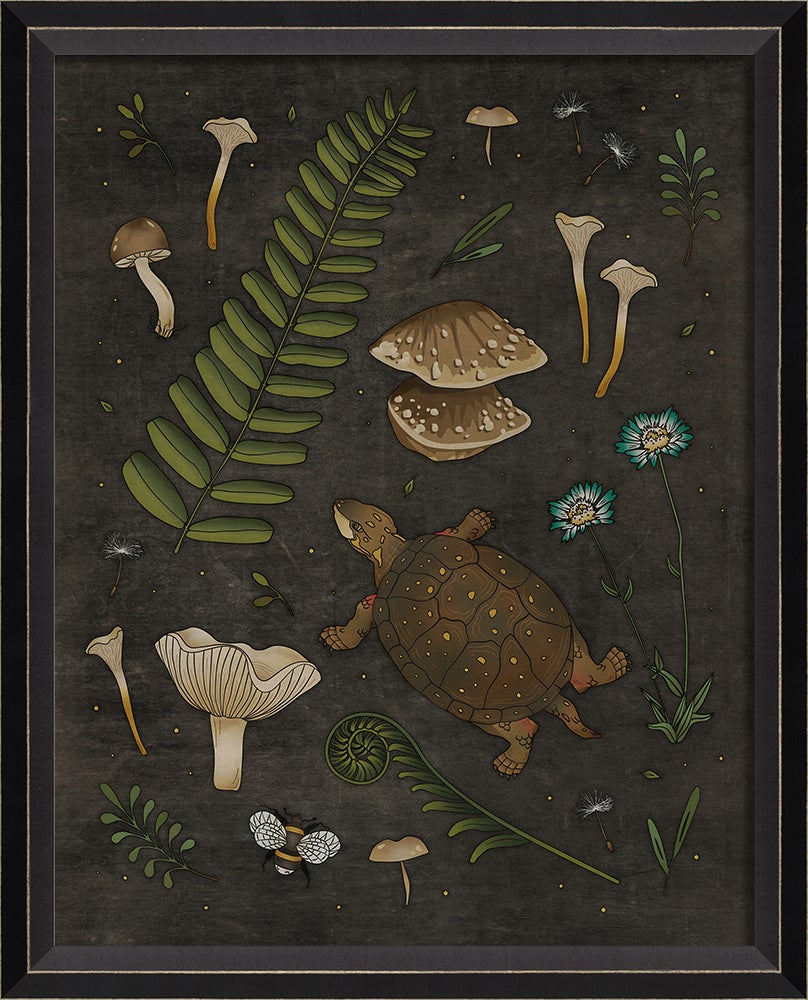 Spicher & Company BC The Curious Spotted Turtle sm 16836