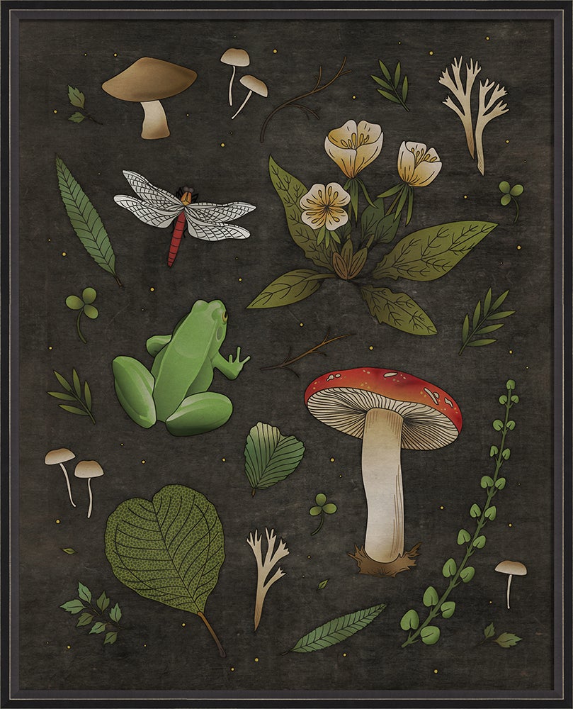 Spicher & Company BC The Tree Frog and Dragonfly lg 16839
