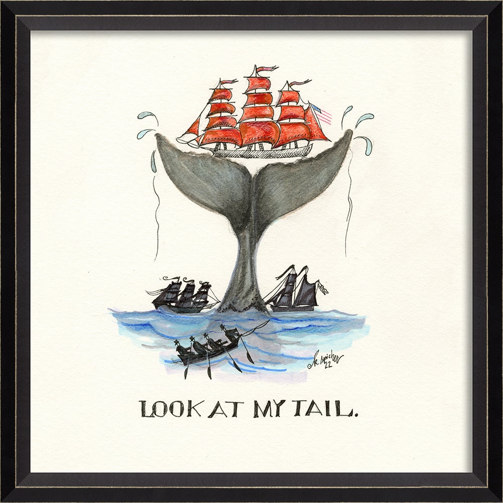 Spicher & Company BC Whale Drawing Look at my Tail 16845