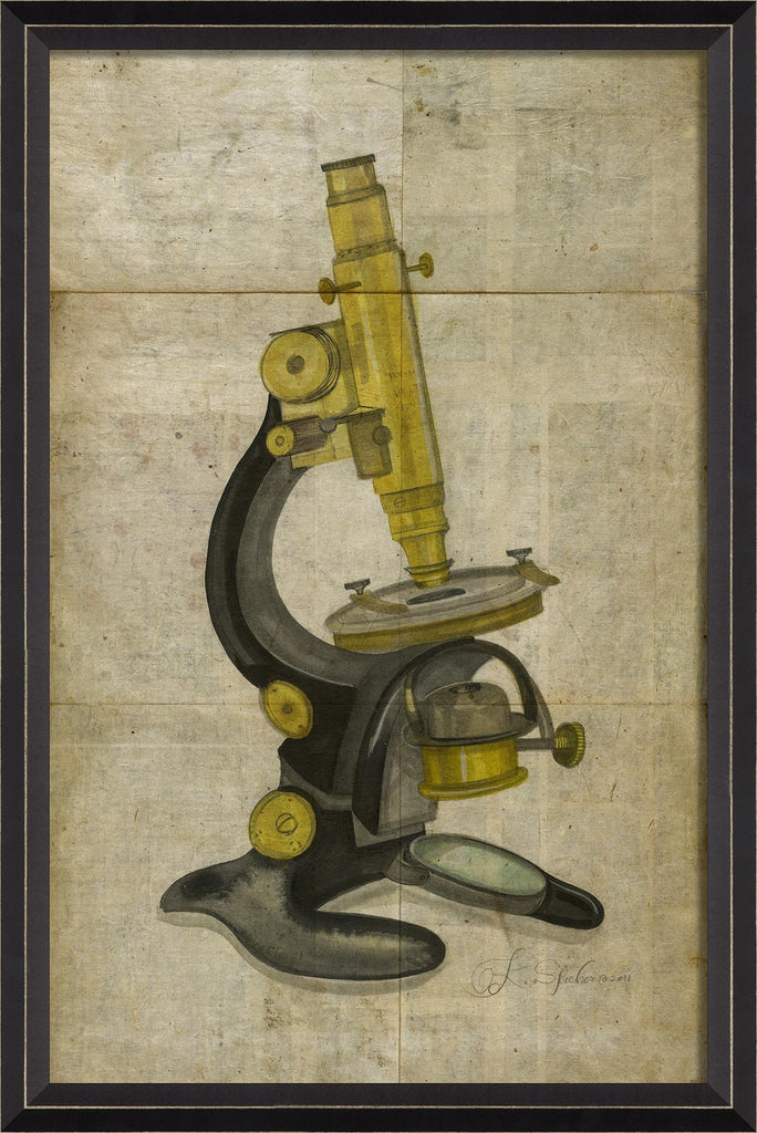 Spicher & Company BC Leitz Microscope 18411