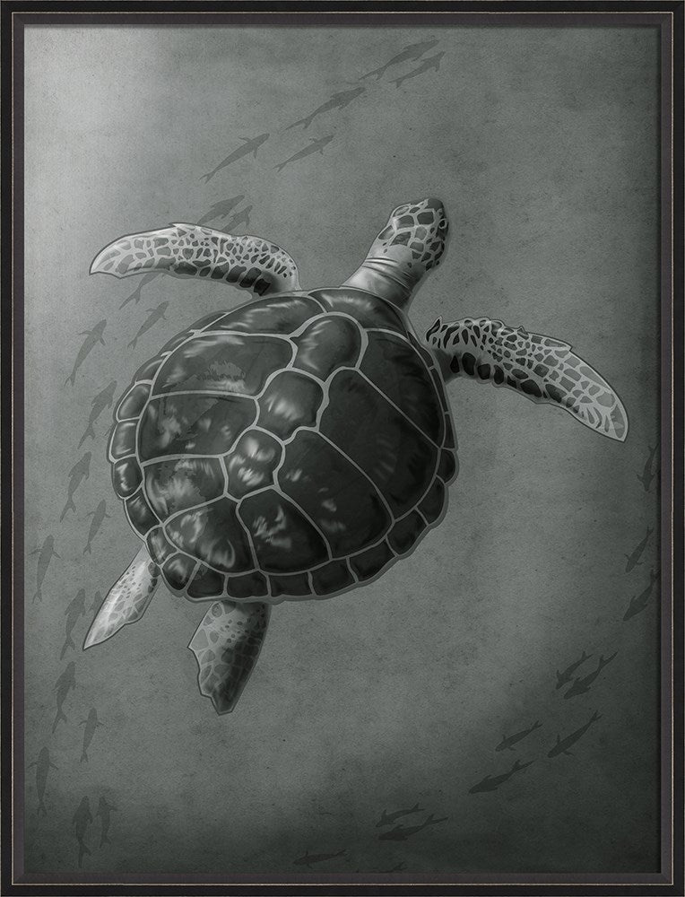 Spicher & Company BC Sea Creature Fathoms of a Sea Turtle 22263
