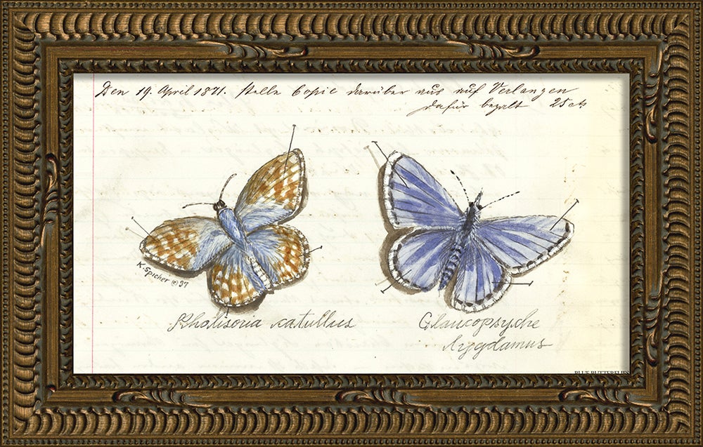 Spicher & Company KG Blue Butterflies 22401