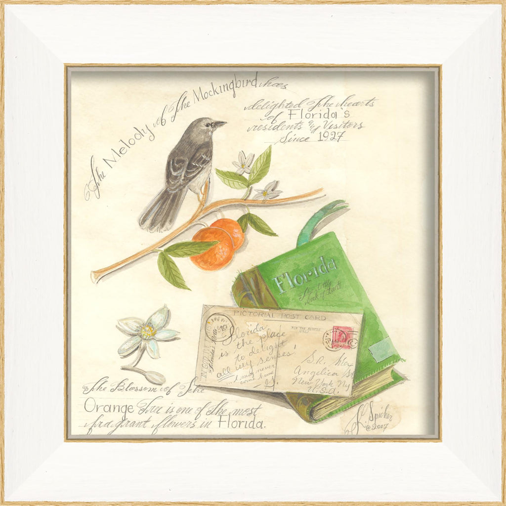 Spicher & Company SS Florida Bird 22433