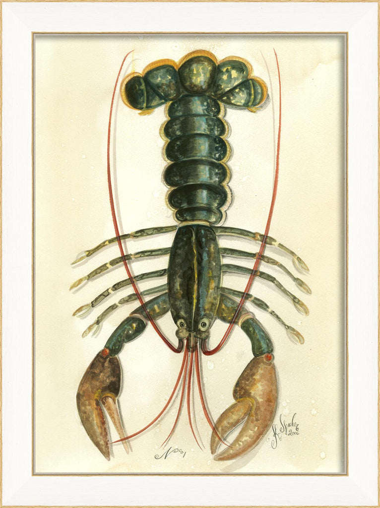 Spicher & Company SS Lobster01 22500
