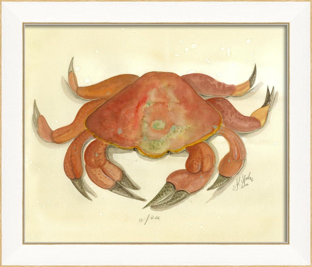 Spicher & Company SS Crab06 22505