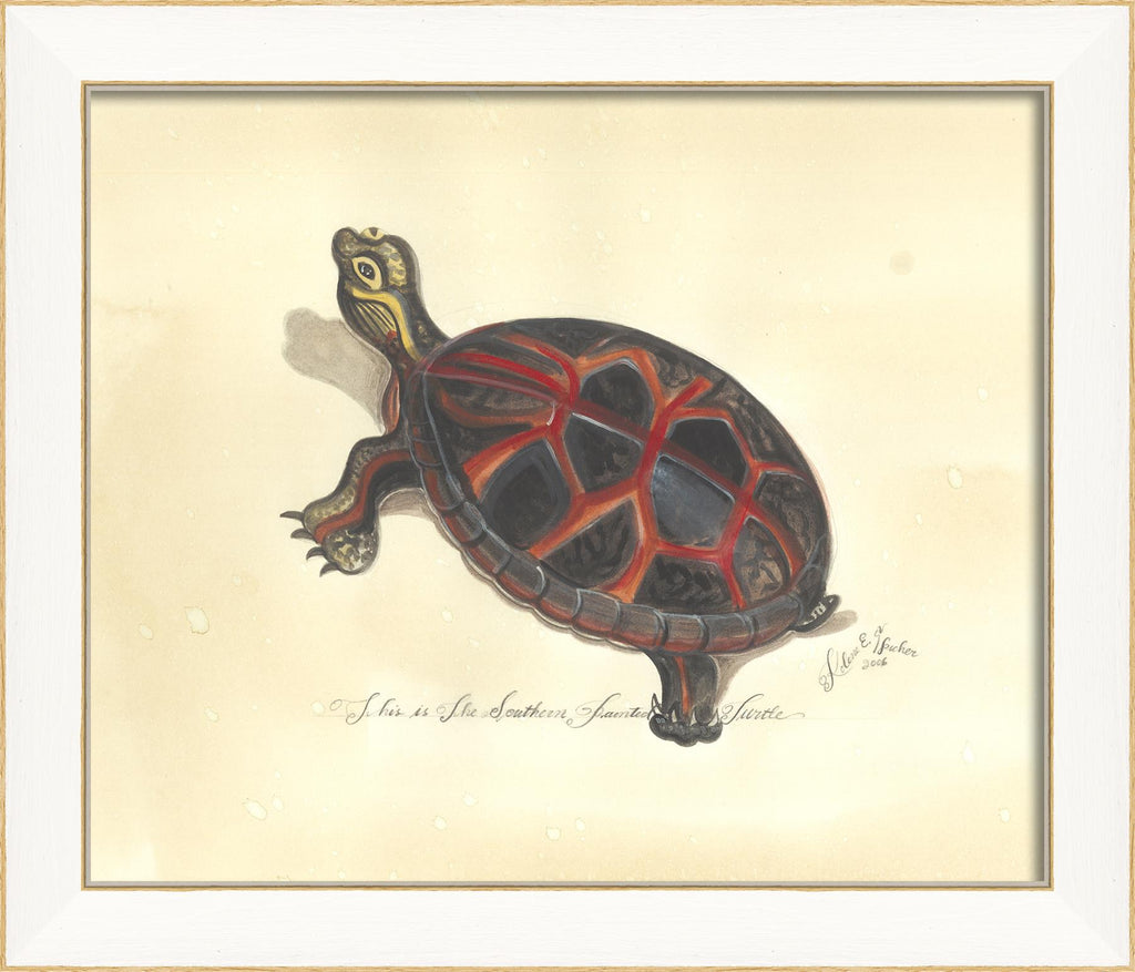 Spicher & Company SS Southern Painted Turtle 22522