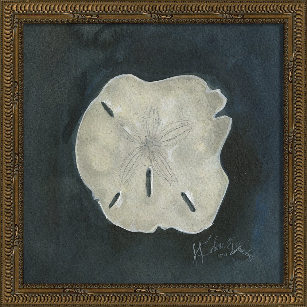 Spicher & Company KG Seashell No7 22569