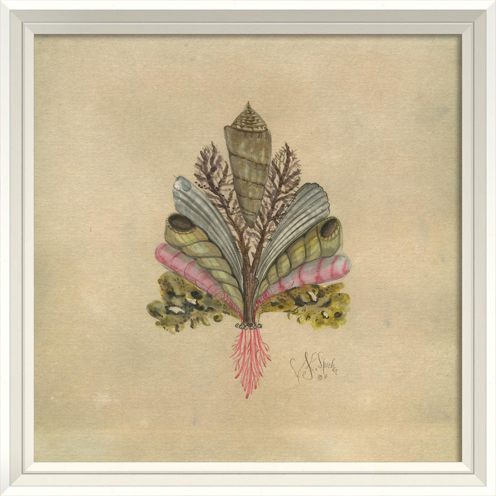 Spicher & Company WCWL Seashell Fleur de Lis 4 22574