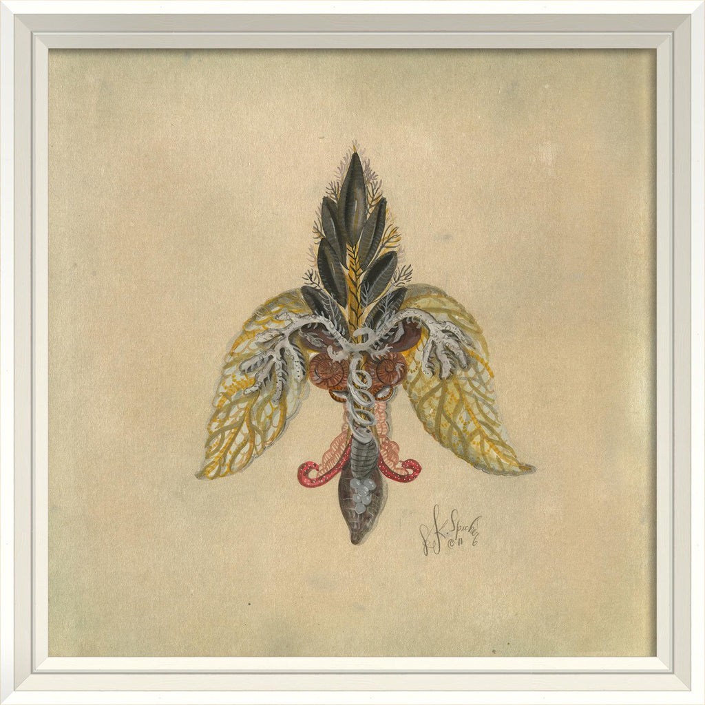 Spicher & Company WCWL Seashell Fleur de Lis 5 22575