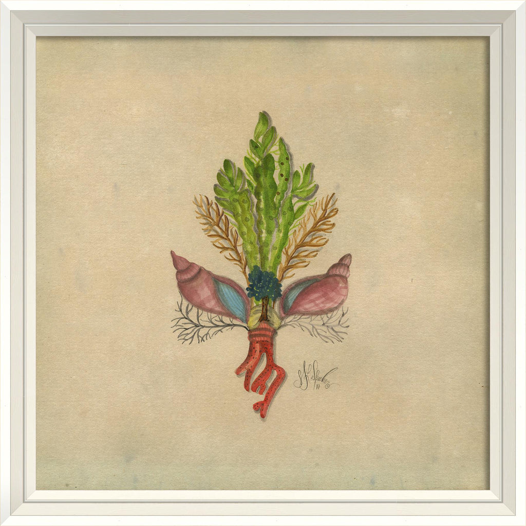 Spicher & Company WCWL Seashell Fleur de Lis 6 22576