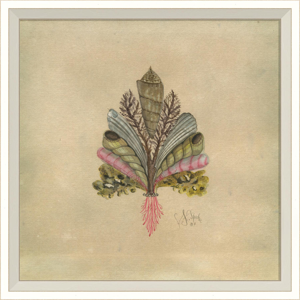 Spicher & Company WC Seashell Fleur de Lis 4 22580