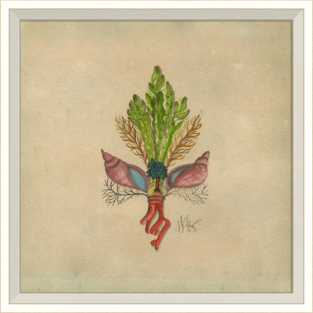 Spicher & Company WC Seashell Fleur de Lis 6 22582