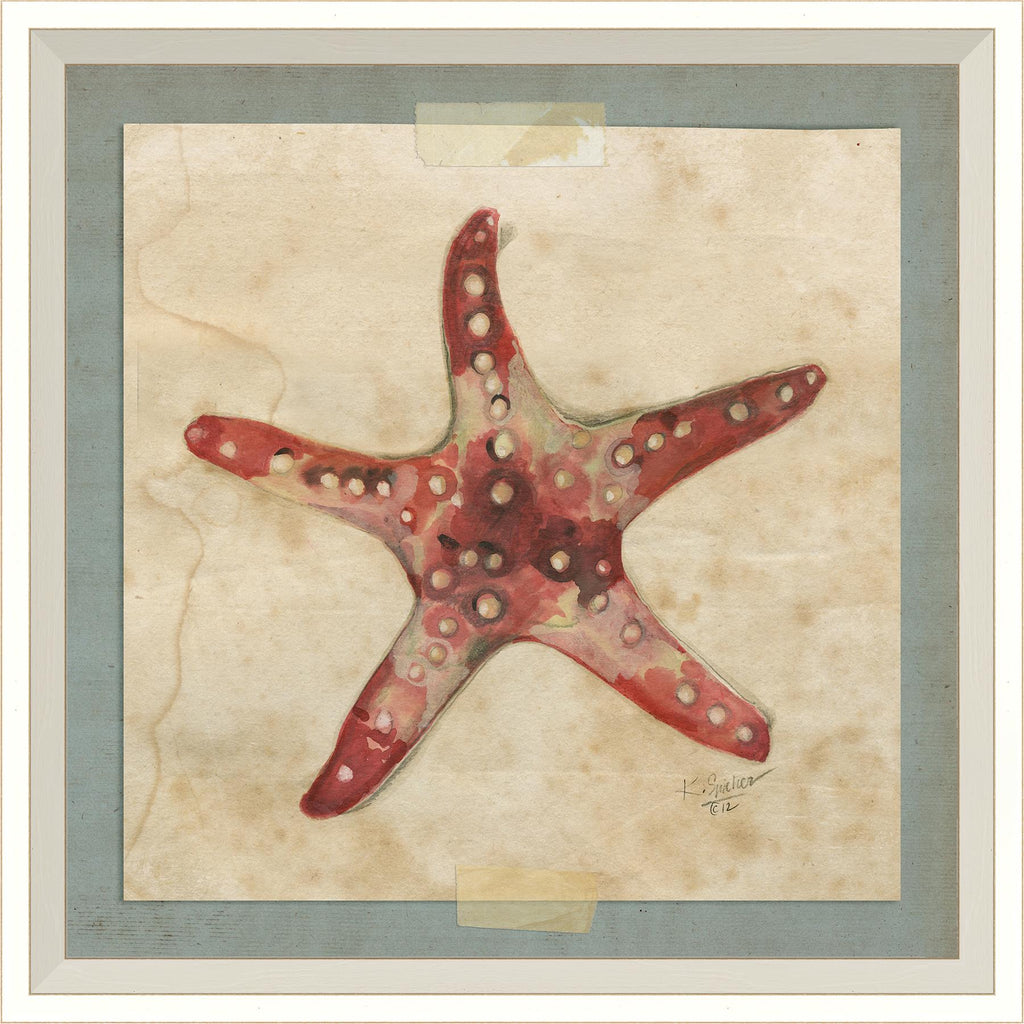 Spicher & Company WC Starfish 2 22590