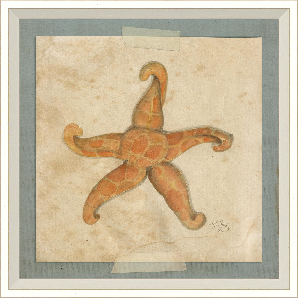 Spicher & Company WC Starfish 3 22591