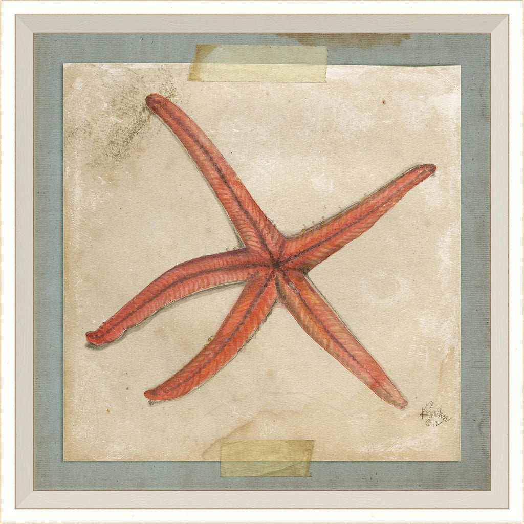 Spicher & Company WC Starfish 5 22593