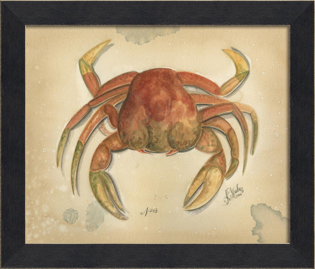 Spicher & Company MI Ocean Crab 3 22694