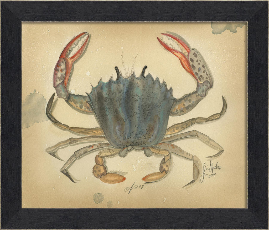 Spicher & Company MI Ocean Crab 8 22699