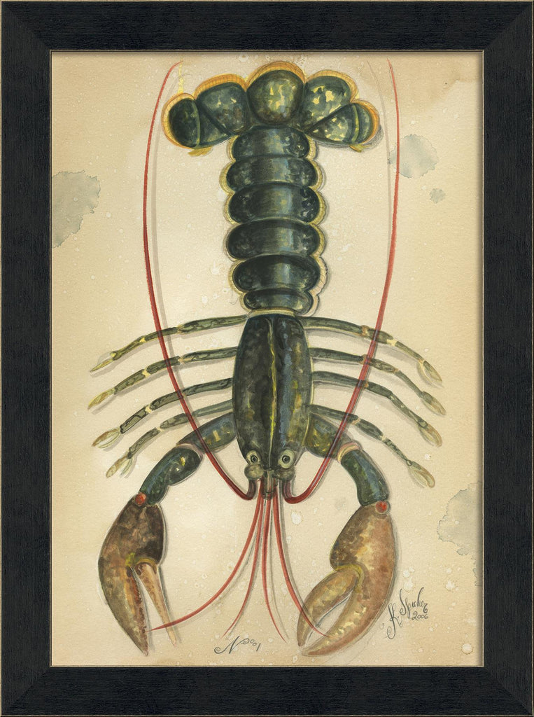 Spicher & Company MI Ocean Lobster 1 22700