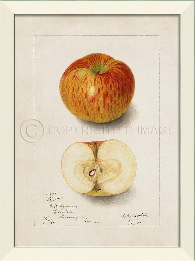 Spicher & Company LN Apple No3 27510