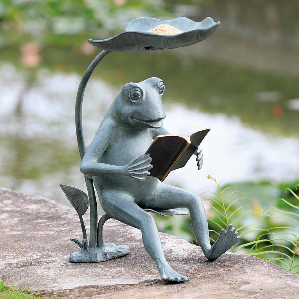 SPI Reading Frog Birdfeeder With Led Light 34937