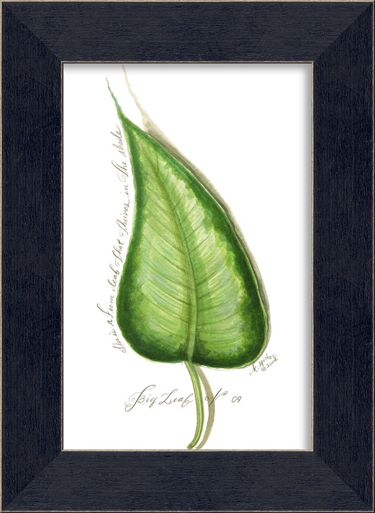 Spicher & Company MI BigLeaf 9 35058