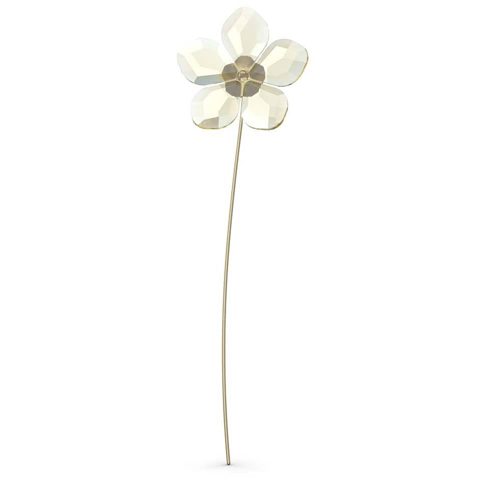 Swarovski Crystal Flowers Garden Tales Hellebore 5557802 – Biggs Ltd | Deko-Objekte