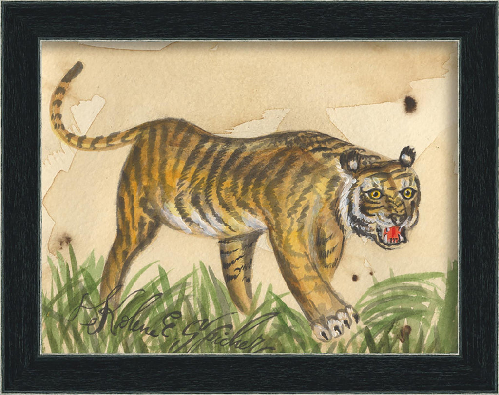 Spicher & Company AN Tiger 68123